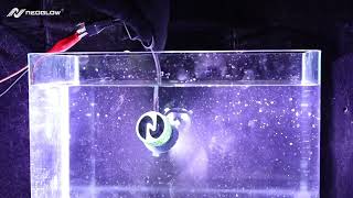 Neoglow Led Headlight.