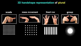 3D Plural