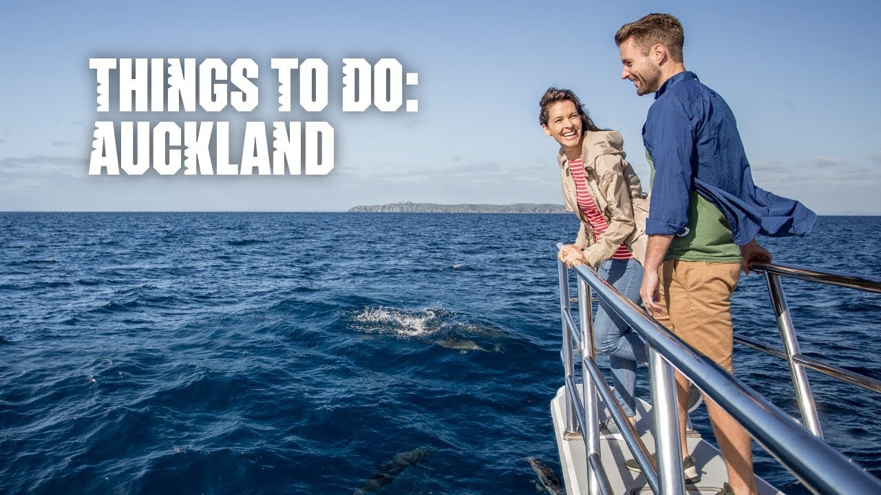 Auckland – Dolphins to Fine Dining