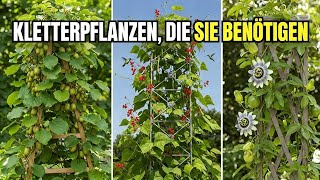 Top 7 Mehrjährige Essbare Kletterpflanzen Für Kleine Vertikale Gärten