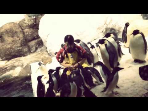 2014_0825【白浜・アドベンチャーワールド】