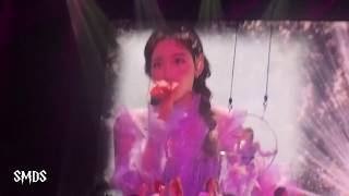 [Fancam] 김태연 Taeyeon - Circus ('s concert in Manila) 181214