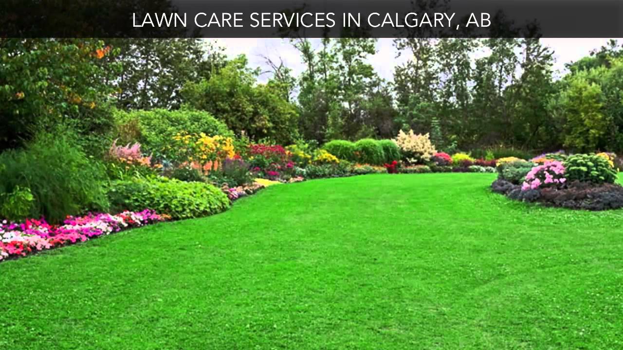 Lawn Care Services Calgary AB Dale s Lawn Care YouTube lawn-care-services-calgary-ab-dale-s-lawn-care-youtube