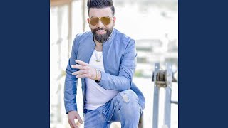 ويلي - قائد حلمى