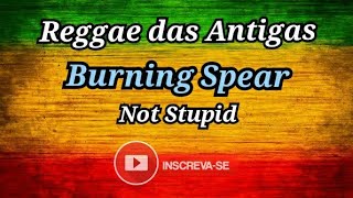 Download Lagu REGGAE: Burning Spear - Not stupid MP3