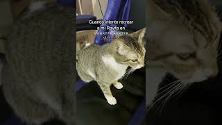 Cuando Recreé A Mi Gaa En Monster Hunter Wilds