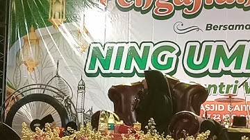 PENGAJIAN USTADZAH NING UMI LAILA , JIREM LEMBAH DOLOPO MADIUN
