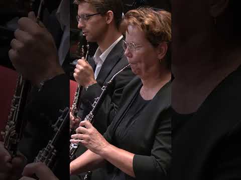 Moesorgski: Pictures at an Exhibition (orch. Ravel) #shorts - AVROTROS Klassiek