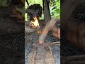 Small project blacksmith. #short #viral #pakistan #bangladesh #italy #india