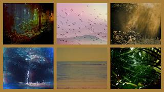 Harbors (Hollie Kenniff & Goldmund) - When We Are Free (full album) [Official Audio]