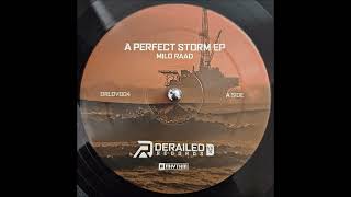 Milo Raad - A Perfect Storm [DRLDV004]