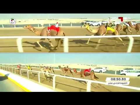 الشوط 11 مشكوره لـ عامر حمد محمد المنصوري 12 48 78 مهرجان الامير الوالد 2022 2 2 ثنايا الشحانية 