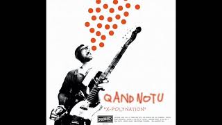Q And Not U – X Polynation/Book Of Flags 7"