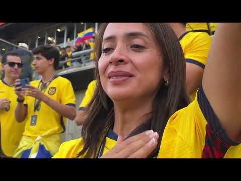 hangover after Ecuador's defeat