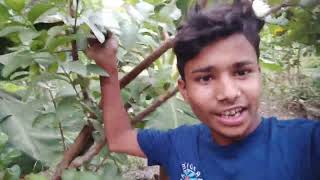 Village vlogger daily desi vlog indian New creator vlog