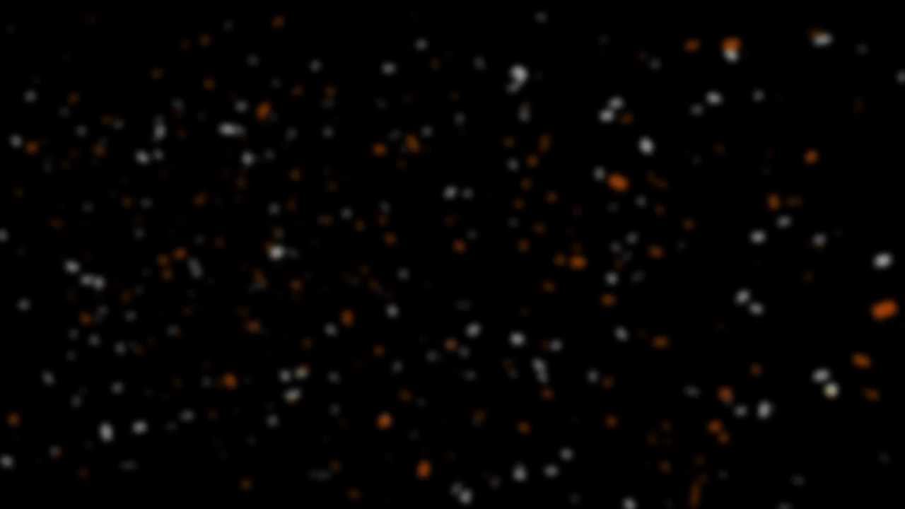 filmbar SHARK BISCUIT IDENT