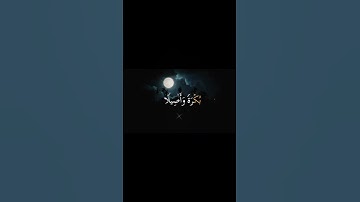 { إنا نحن نزلنا عليك القرآن تنزيلا فاصبر لحكم ربك ولا تطع منهم ءاثما أوكفورا} القارئ أحمد العجمي
