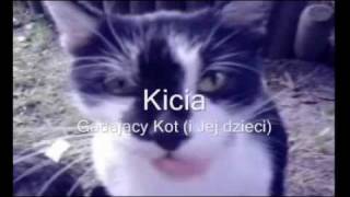 Kicia - Gadający Kot
