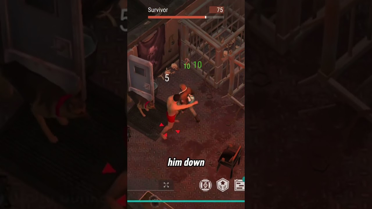 The Hidden Mysteries of The Basements