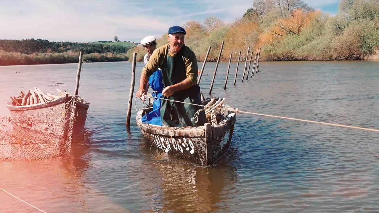 Arroz de Lampreia | Viver os Sabores