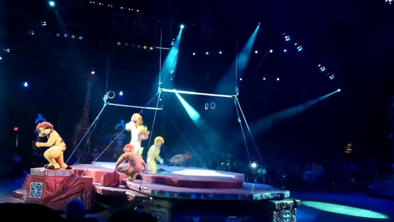 Disney Animal Kingdom show - YouTube