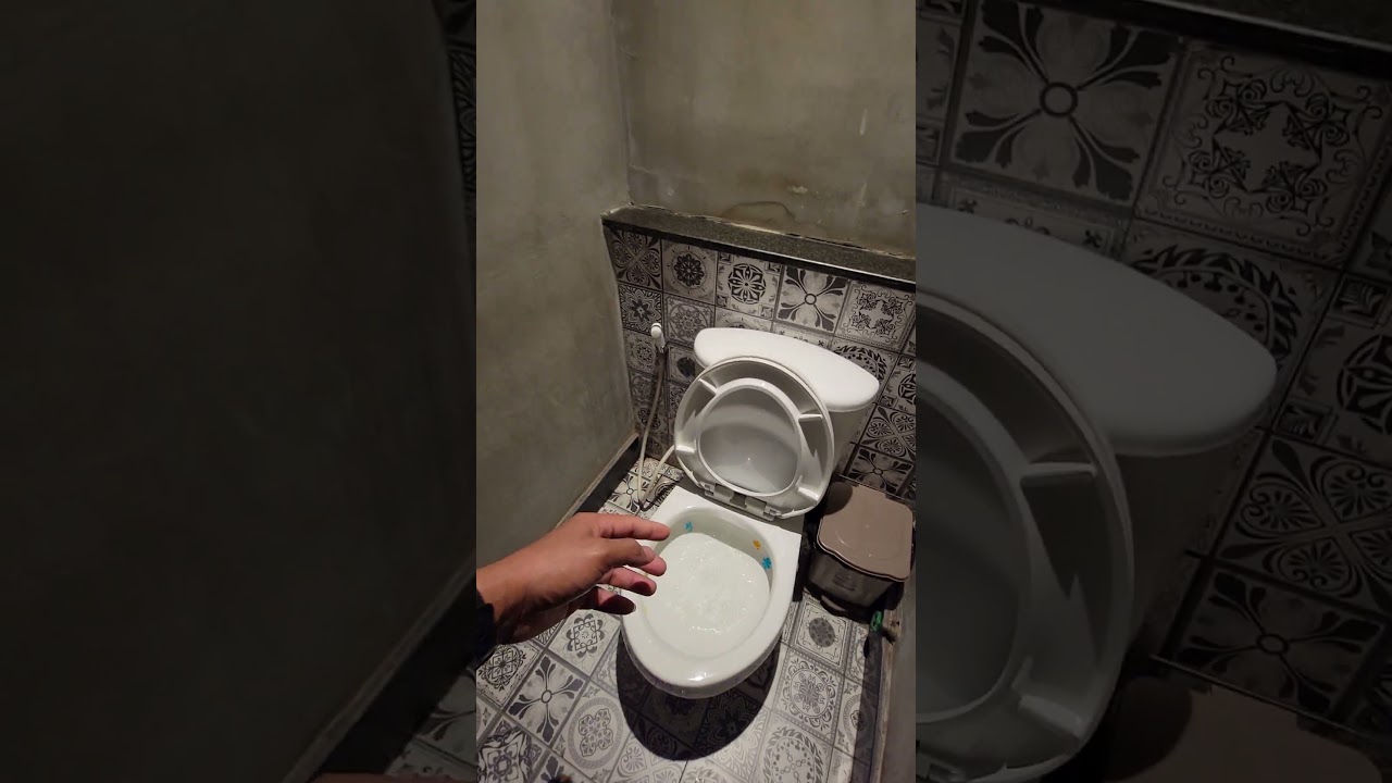 Best Toilet Accessories for a Cleaner, More Organized Bathroom! | Hand Shower. 