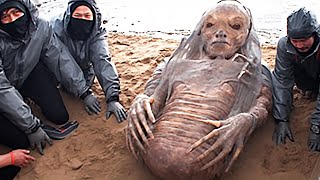 This Terrifying Discovery Is Shaking The Entire Internet !