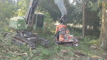 South Star FD150 Grapple Saw