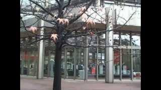 Famous Heidelberg- Offset vs. Digital printing Wealth