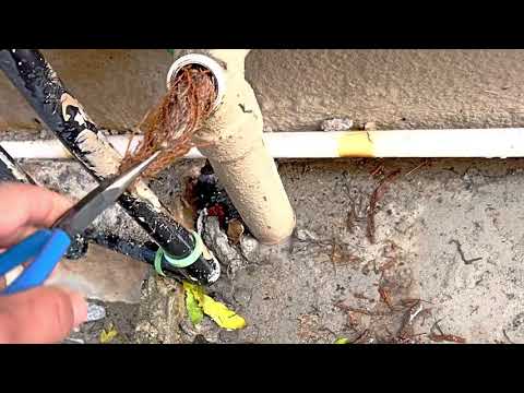 Root Removal - On a 40mm Waste Pipe