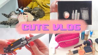 Cute VLOG #81🐩|Собака заболела - спасаем Ириску!🤒|Купила дорогущую косметику🧴|Leatherman🛠️