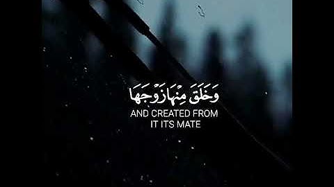 يا أيها الناس اتقوا ربكم | الشيخ ياسر الدوسري حالات واتس اب دينية قصيرة مؤثرة قرآن كريم تلاوة خاشعة