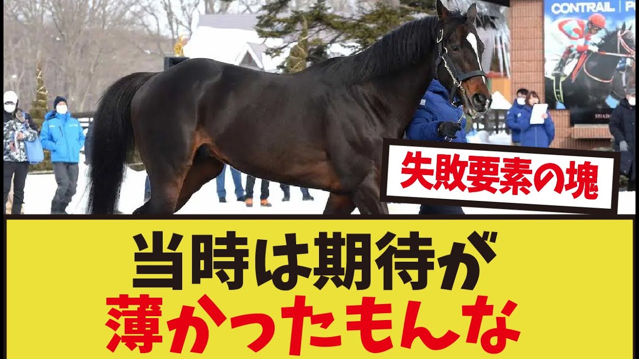 「当時は若く種牡馬キタサンに大して興味がありませんでした」に対するみんなの反応集