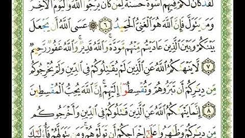 سورة الممتحنة 60 - 114 شيرزاد عبد الرحمن طاهر - قراءة مرتلة