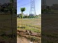 🏡 5 Marla Plot for Sale in Faisal Town – Block C 🏡