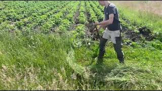 IMG 4852