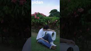 pidan Wheeled Pet Carrier Ventilation Type - Innovations in Pet Travel