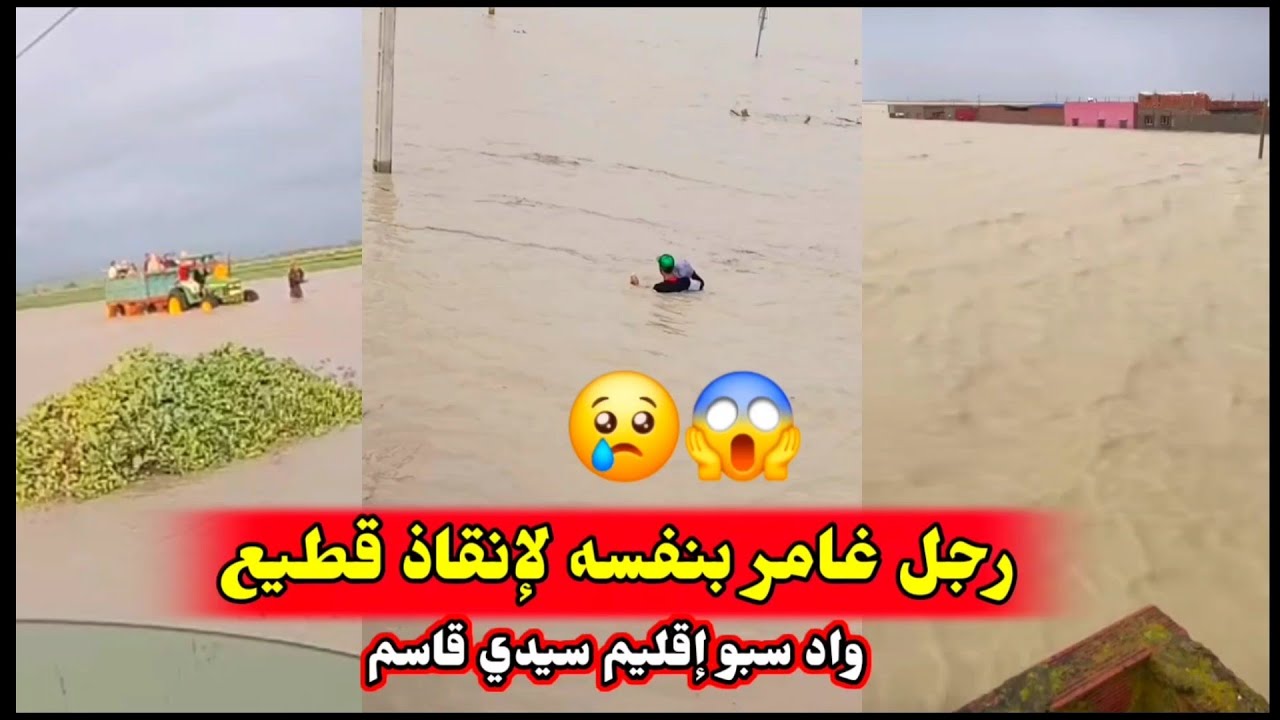 واد سبو ورغة سيدي قاسم تغمر. دواوير بأكملها ورجل غامر بنفسه لإنقاذ قطيع الغنم وضع كااارتي💔😱🚨 #المغرب