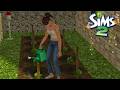 🌱 4K Cottagecore Life: Gardening, Fishing &amp; Spring Rain ☔ | Sims 2 No Commentary Cozy Gameplay