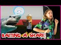 BAITING A SHARK!