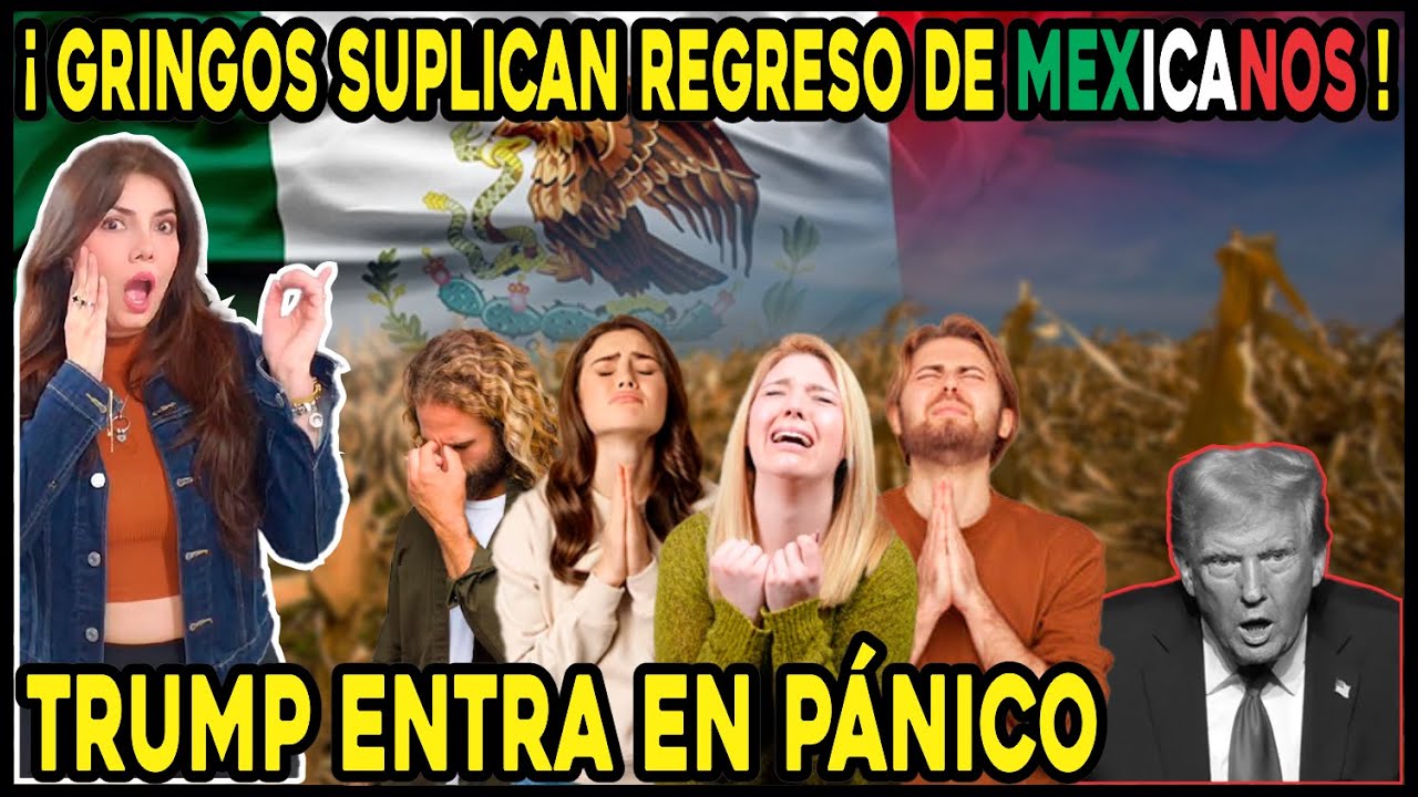 GRINGOS PIDEN DE RODILLAS EL REGRESO DE LOS MEXICANOS | MÉXICO TIENE A LOS MEJORES TRABAJADORES