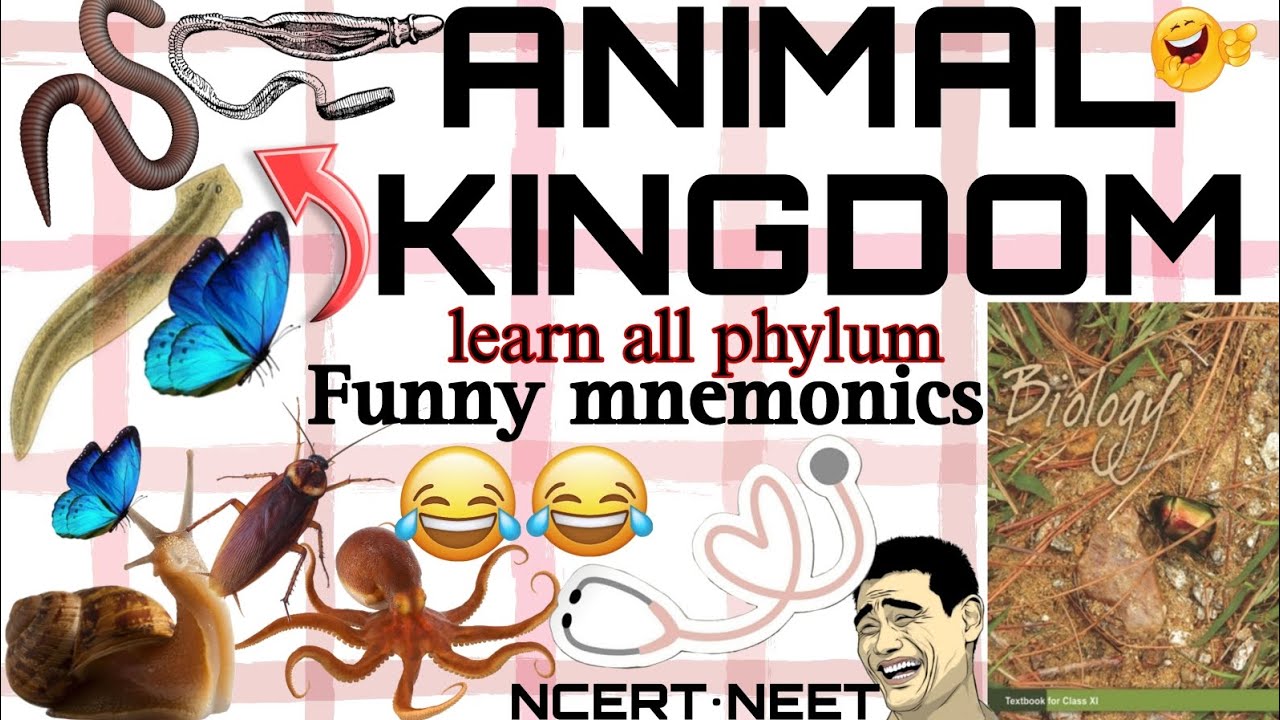 Animal Kingdom Mnemonics| learn all phylum example in 5 min |🔥tricks # ...