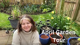 April Garden Tour // My Garden In Spring #gardentour #springgarden #plantingseason