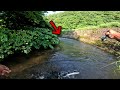 【49㎝と48㎝】このカーブで怪物ヤマメが連発した！【渓流ルアー】
