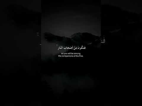 أرح سمعك القارئ عمر محجوب