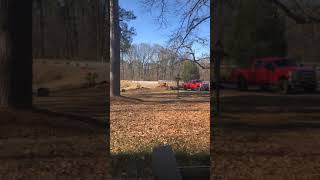 Stump grinding