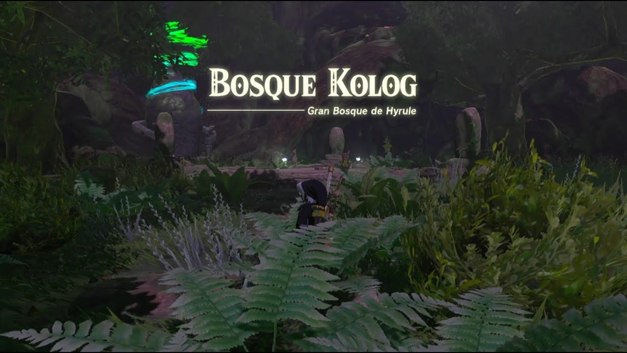 Llegamos al bosque Kolog The Legend of Zelda Tears of Kingdom Guía