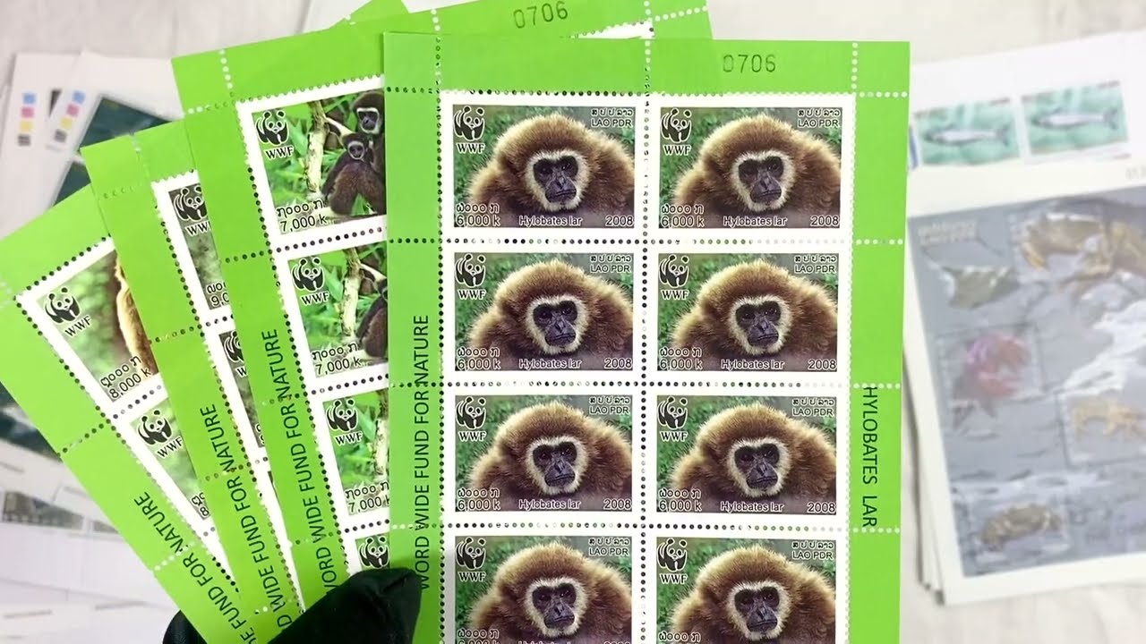 37. Unpack and introduce some modern Laotian stamp sets in big blocks 