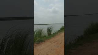 Kosi River #kosiriver #nature #water #bihar #bhojpuri #news #trending #travel #viral #art #song #fun