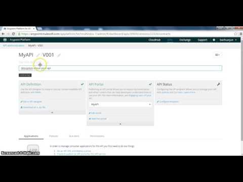 Mulesoft API Dsigner, API Portal Guide